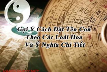Cách Đặt Tên Con Theo Các Loài Hoa Và Ý Nghĩa