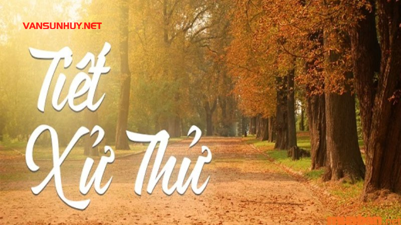 Tiết Xử Thử Là Gì? Đặc Điểm Và Ý Nghĩa Của Tiết Xử Thử Trong 24 Tiết Khí