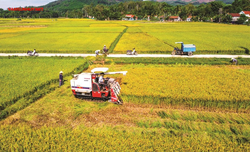 Ngày Thành Lập Hội Nông Dân Việt Nam: Tôn Vinh Những Người Làm Nông Nghiệp