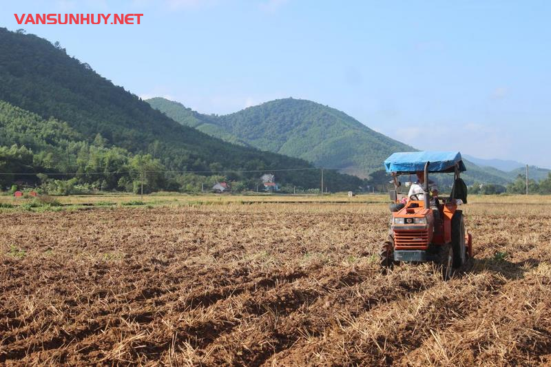 Khám Phá Công Dụng Bất Ngờ Của Lịch Vạn Niên Trong Nông Nghiệp